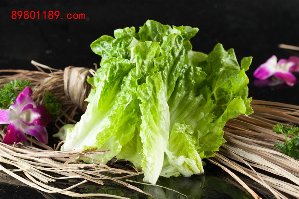 生菜